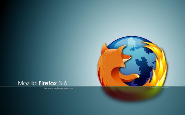 The web experience The web experience