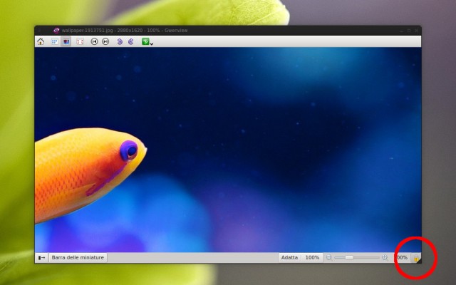 Con KDE 4.9 torna il lock-zoom su gwenview!